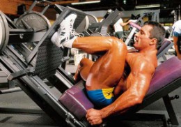 gluteals exercise